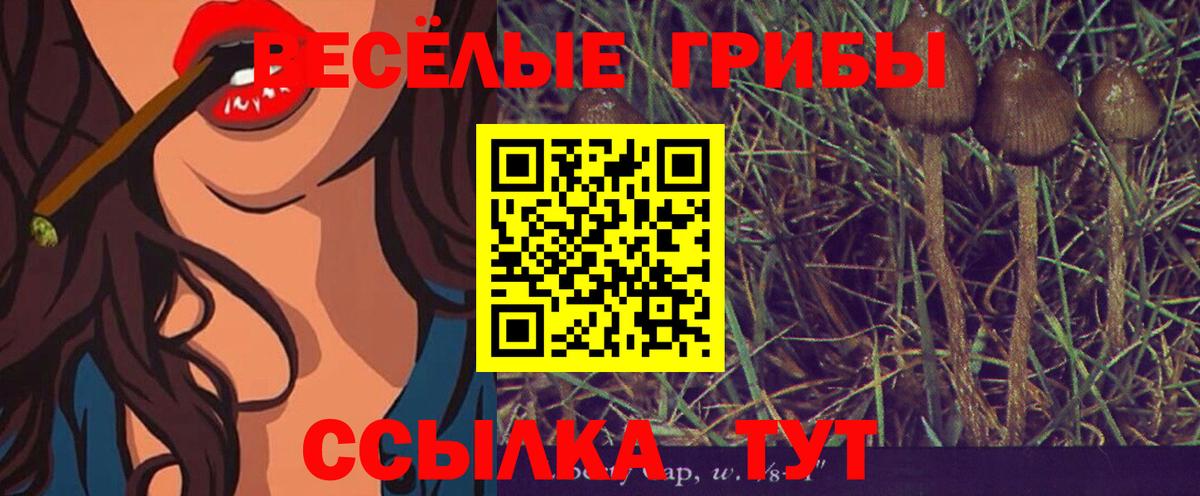 Галлюциногенные грибы Cubensis  Вход с VPN  Галлюциногенные грибы ЛСД  Дубна 